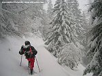 Cartoline di neve da Carona, Pagliari e Prato del Lago (30 novembre 08) - FOTOGALLERY